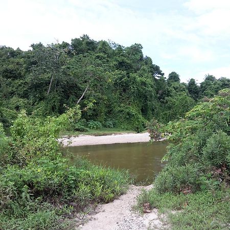 Cabana Wiwa Tayrona Los Naranjos Eksteriør billede