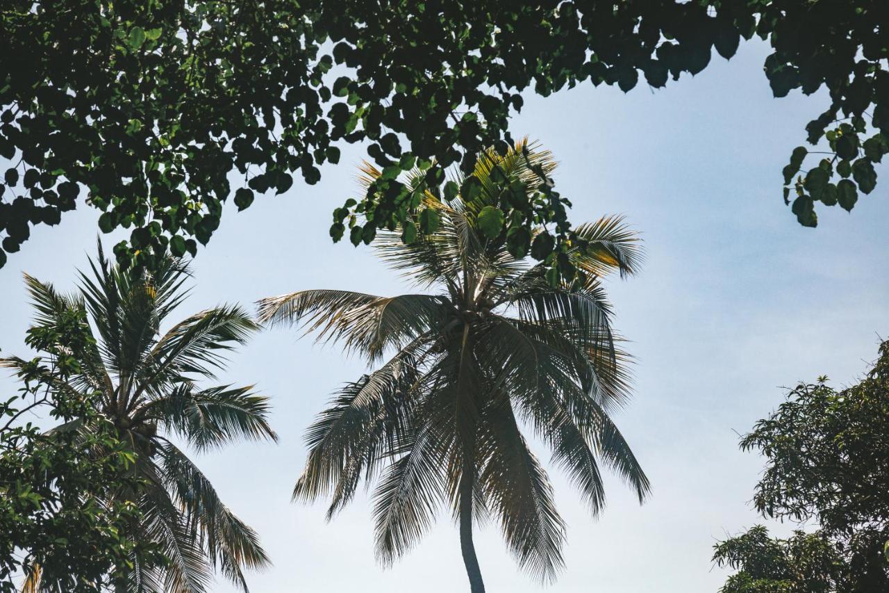 Cabana Wiwa Tayrona Los Naranjos Eksteriør billede