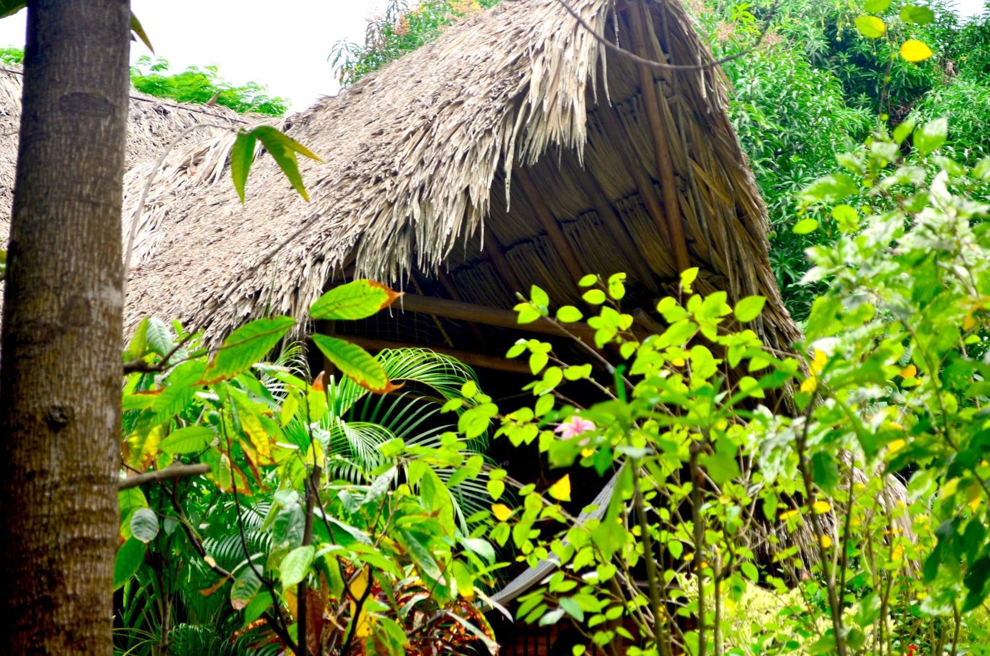 Cabana Wiwa Tayrona Los Naranjos Eksteriør billede