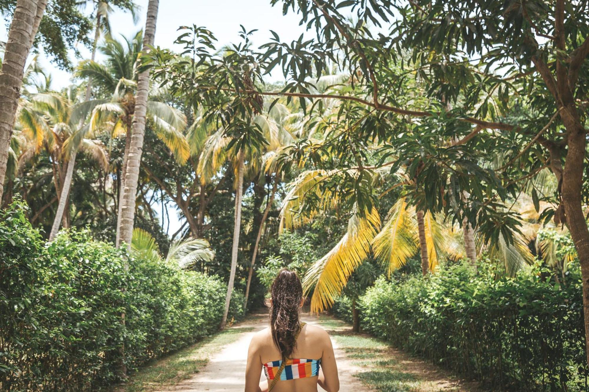 Cabana Wiwa Tayrona Los Naranjos Eksteriør billede