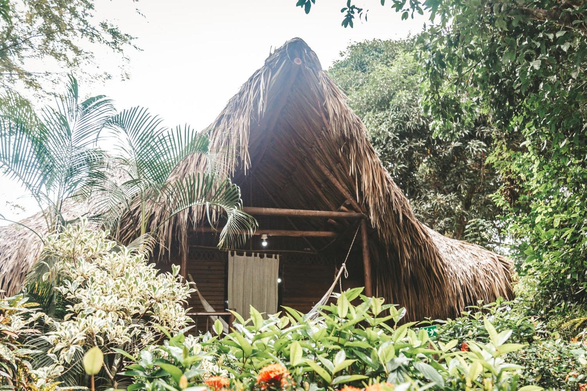 Cabana Wiwa Tayrona Los Naranjos Eksteriør billede