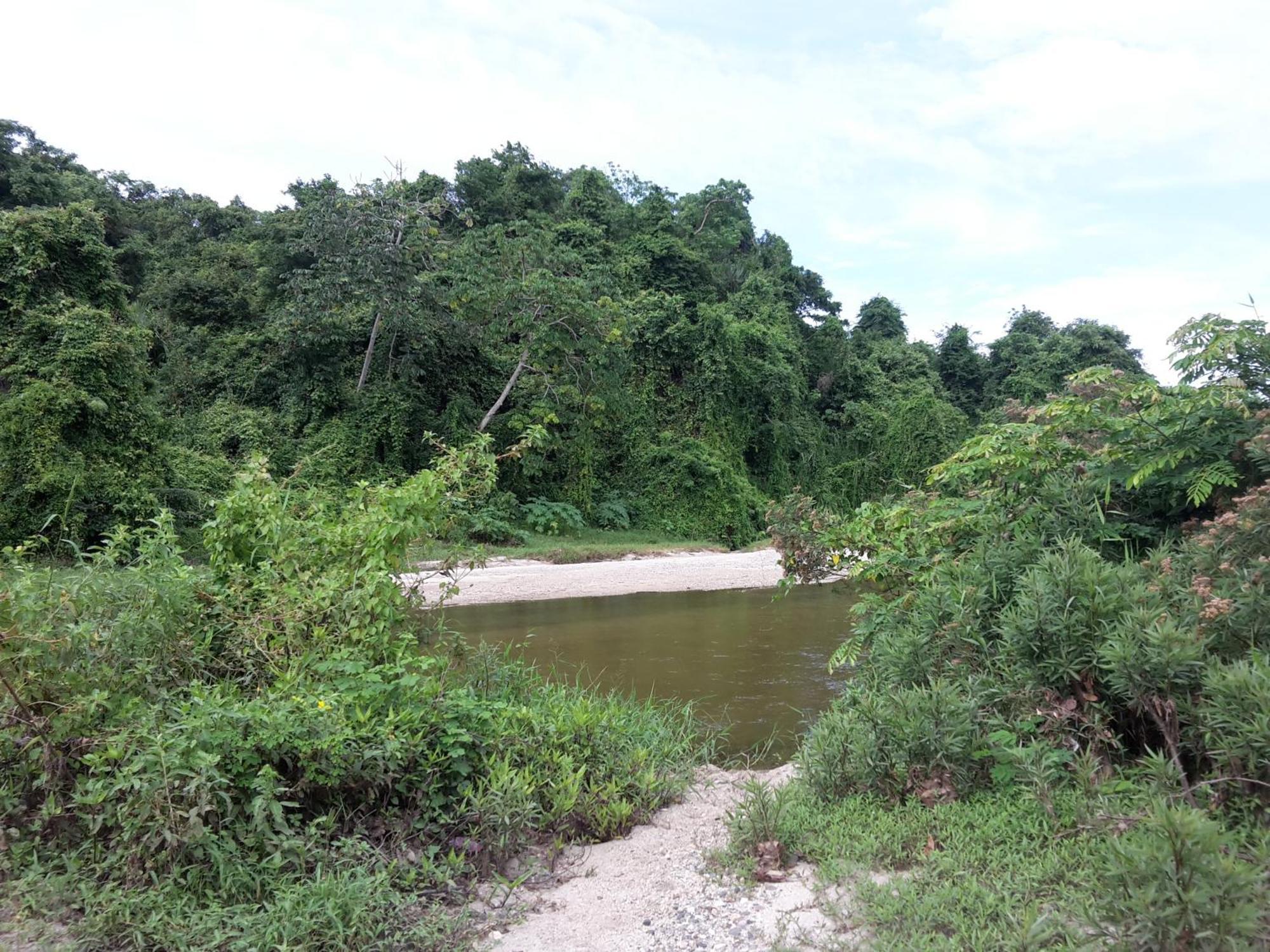 Cabana Wiwa Tayrona Los Naranjos Eksteriør billede