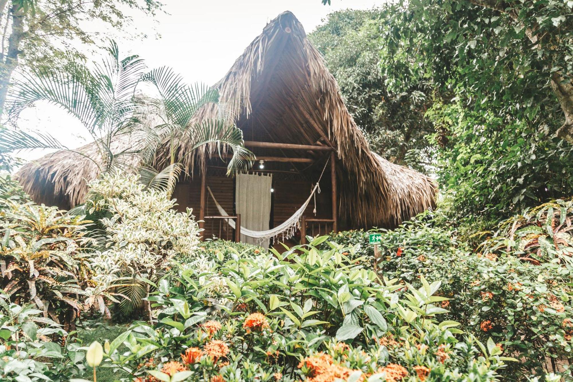 Cabana Wiwa Tayrona Los Naranjos Eksteriør billede